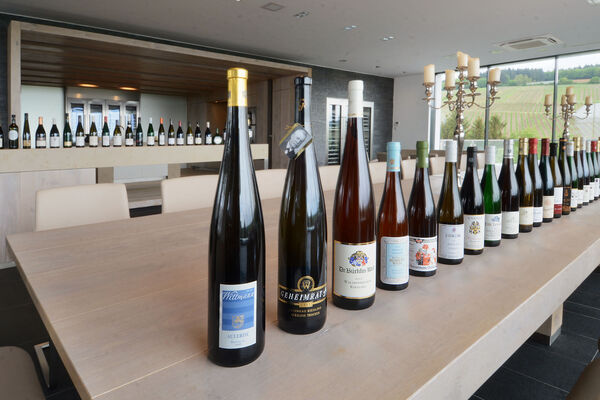 German Top-Vinters come for a visit at  Weingut Robert Weil